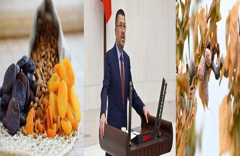 Ağbaba, “Pirinç” Beyanıyla “Kayısı” İthaline Sert Tepki Gösterdi
