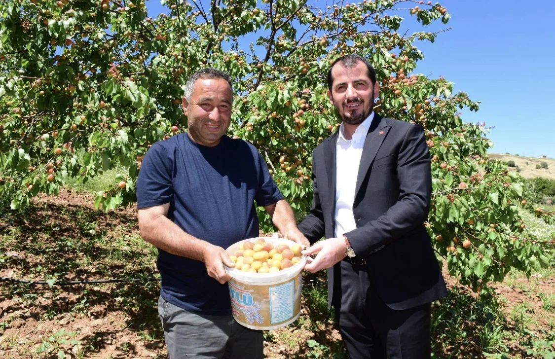 Donun Vurduğu Bahçelerde Bir Yıl Sonra İlk Hasat Sevinci