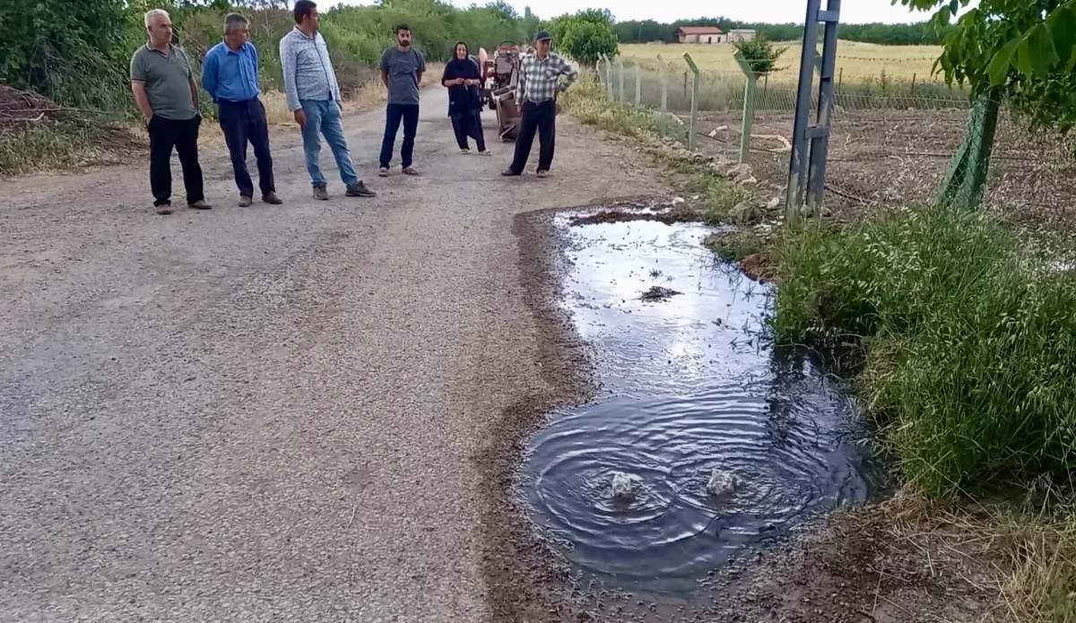 Kanalizasyon Kabusu Tarlaları Vurdu: Mahalle Halkı Ayakta