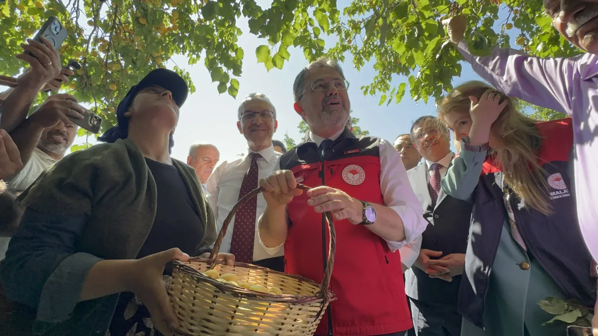 Yumaklı: Geçen Yıl Kuruyan Dallar, Bu Yıl Meyveyle Bereket Saçıyor
