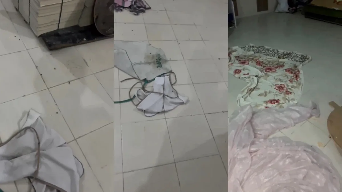 Fırında Şoke Eden İddia: Vatandaş Böcek Görüntüledi