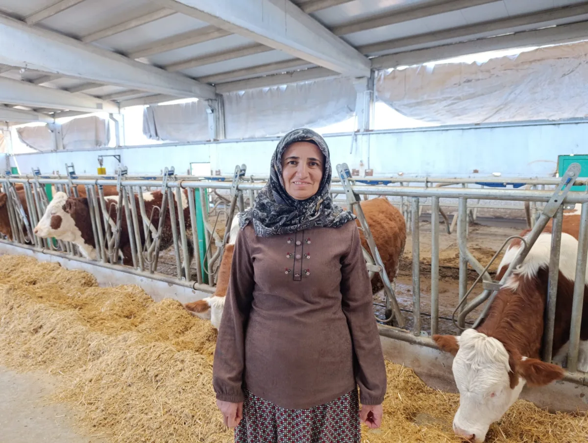 Kadın girişimci devlet desteğiyle kendi işini kurdu...Günlük bin litre süt üretiliyor