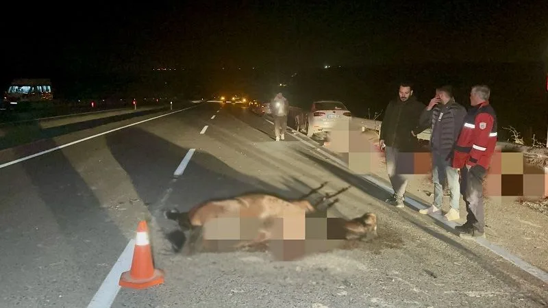 Sultansuyu’nda İhmal Zinciri: Müdür ve 2 İşçi Gitti